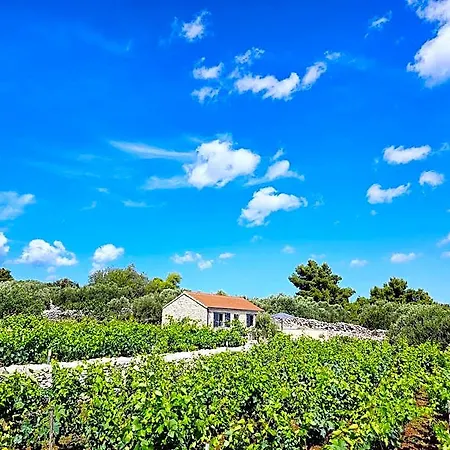 Stone House In Vineyard 4*