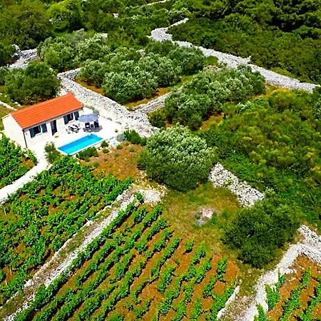 Hotell Stone House In Vineyard